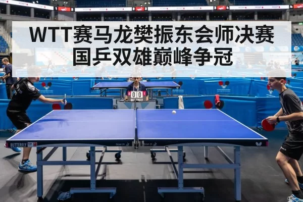 WTT赛马龙樊振东会师决赛国乒双雄巅峰争冠