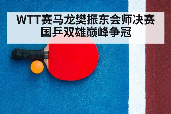 table tennis racket